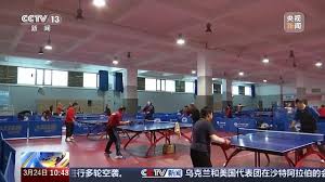 世界杯官网 乒乓球台王鹤棣